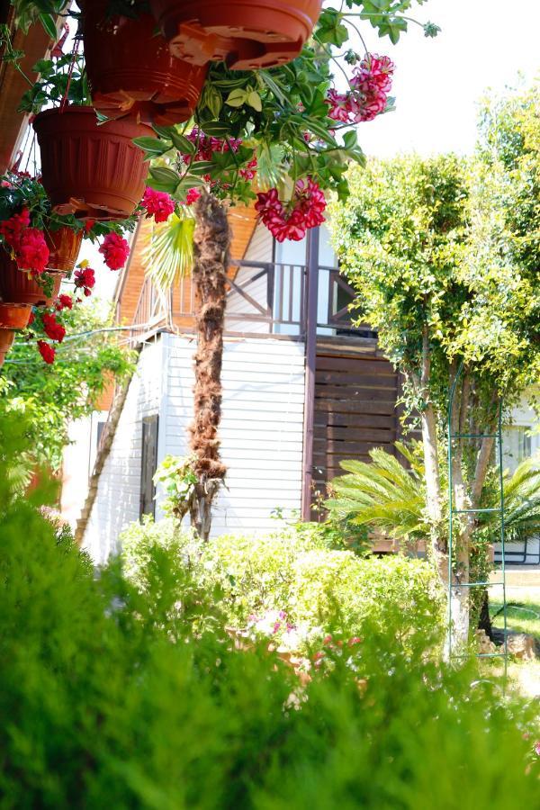 Guest House Alashara Πιτσούντα Εξωτερικό φωτογραφία