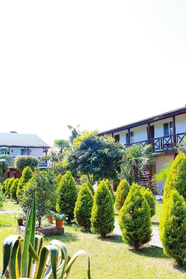 Guest House Alashara Πιτσούντα Εξωτερικό φωτογραφία