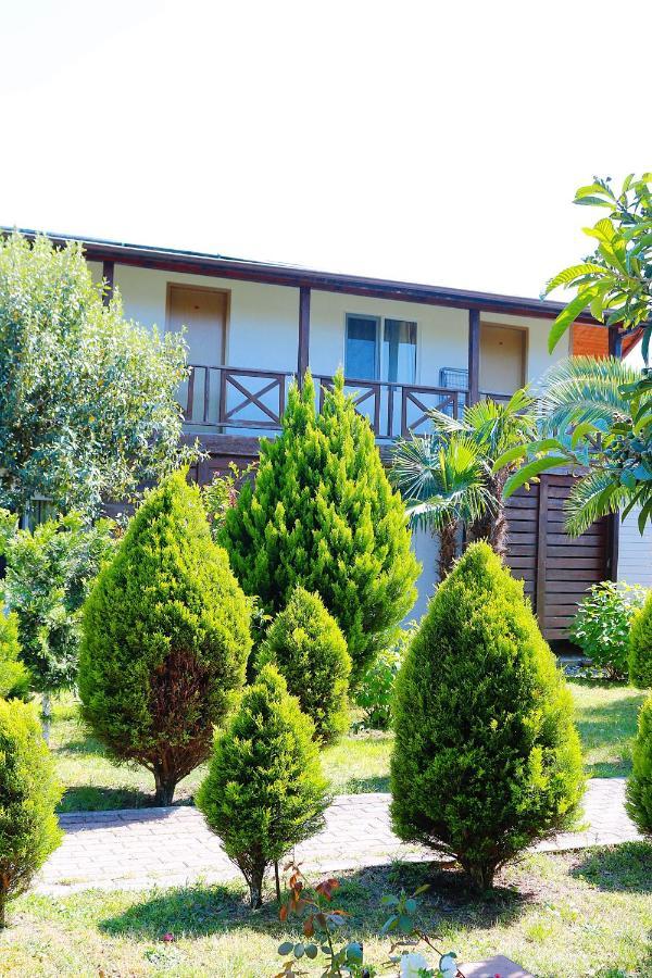 Guest House Alashara Πιτσούντα Εξωτερικό φωτογραφία