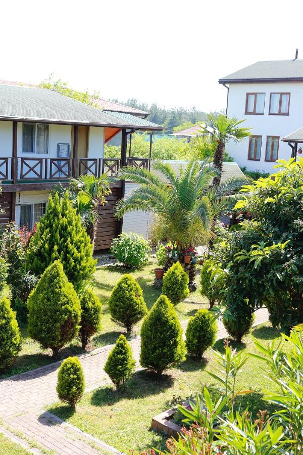 Guest House Alashara Πιτσούντα Εξωτερικό φωτογραφία